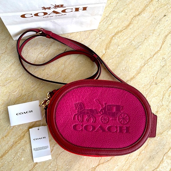 NWT Coach Camera Bag In Colorblock With Horse And Carriage ❤️ - Picture 7 of 13